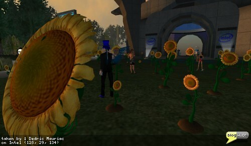 Gardening for Conservation